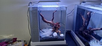 Designové nano  akvarium fluval bile - 4