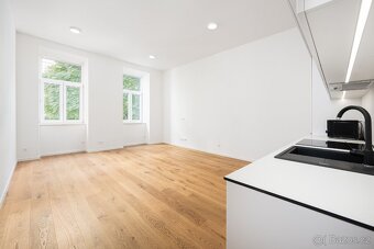 Pronájem - byt 3+kk, Ptašinského 70 m² + zahrádka 49 m² - 4
