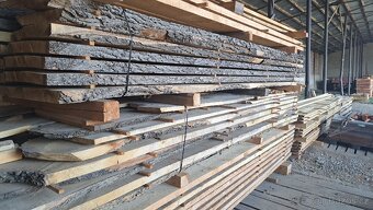 Suché fošny 5.5 cm - 4