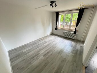 Pronájem bytu 1+1 38 m² Dlouhá, Aš - 4