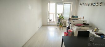 Pronájem - 4