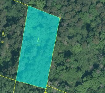 Prodám lesní pozemky v k.ú. Chvalešovice - 4