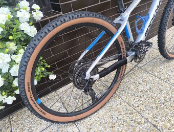 Rock Machine Thunder - 4