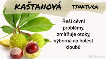 Léčivé domácí mastičky a tinktury - 4