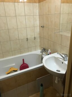 Pronajmu byt 2+1 s balkónem v Ostrově - 4