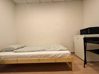 Pronájem — pokoj pro jednu osobu v Žižkově. - 4