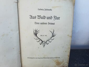 Kniha Antisemitismus ,a dalši - 4