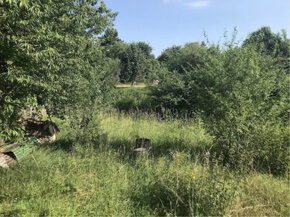 Rekreační zahrádka v zahrádkářské kolonii u Kolína 391m2 - 4