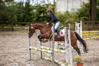 Náš Princ hledá svoji princeznu - 4