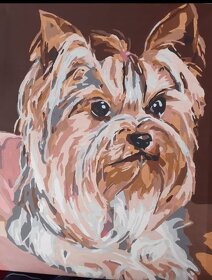 Malované obrazy 40x50cm - 4