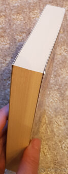 Zaklínač I (Sapkowski), Underground, Vlci (Kotleta) - 4