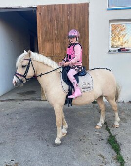 Prodej sportovního pony S - 4