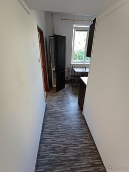 Byt 2+1, Sluneční, Zadní Vinohrady - 4
