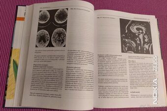 Psychiatrie učebnice pro studium a praxi - 4