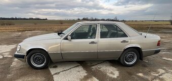 Mercedes w124 - 4