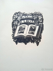 Karel Vik – DROBNOSTI - 4