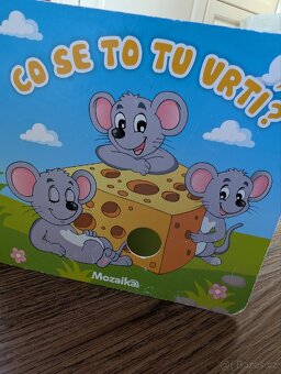 Vykladačka/ knihy - 4