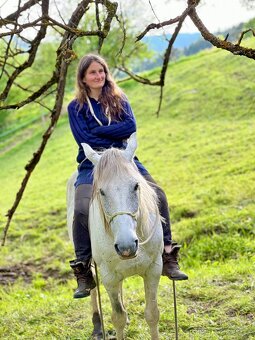 Dobrý menší koník - větší pony valach - 4
