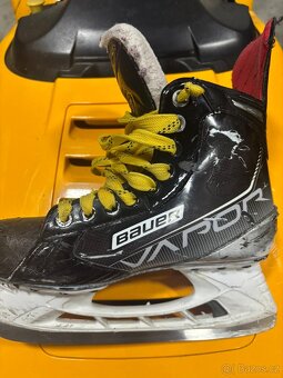 Bauer Vapor X 3,7, vel. 5.5 D - 4