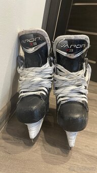 Brusle Bauer Vapor X3, junior - 4
