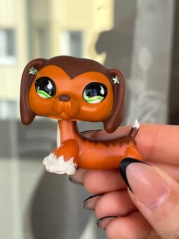 Lps Savvy jezevčík - 4