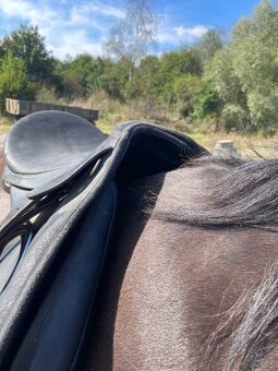 Sedlo Wintec 2000 - 4