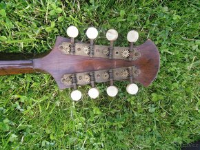 Mandolína starožitná, Václav Langmajer Král. Vinohrady - 4