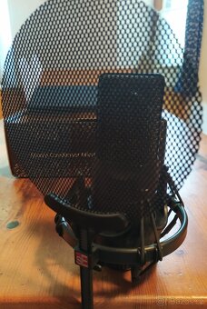sE Electronics X1S - 4
