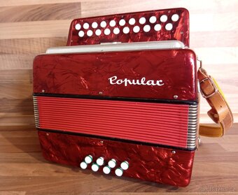 Heligonka (harmonika,akordeon) Delicia Popular - 4