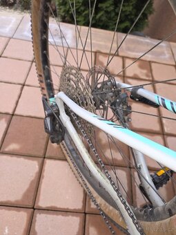 Rock Machine Catherine 30 - 4