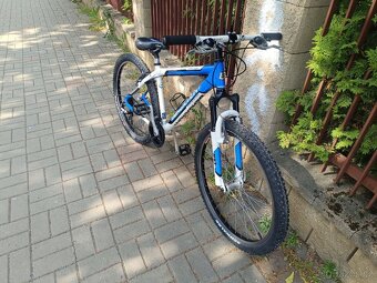 Kolo Bergamont Dark Dust - 4