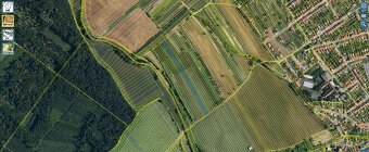 Prodej pozemků 13.772 m² Dolní Bojanovice - 4