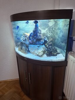 Rohové akvárium JUWEL - 4