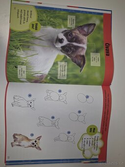 Jak kreslit psy a štěňata - 4