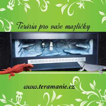 Terárium s 3D stěnou - 100x50x50 - 4