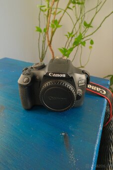 Canon EOS 2000D + Canon 18-55mm - 4