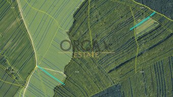 Prodej 0,6 ha pozemků v k. ú. Mistřice I - 4