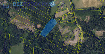 Prodej, les, 26720 m2, Rváčov u Hlinska - 4