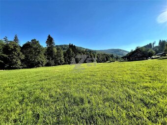 Prodej, stavební pozemek, 2726 m2, Košařiska - 4