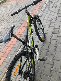 Kolo Scott. Junior 24 - 4