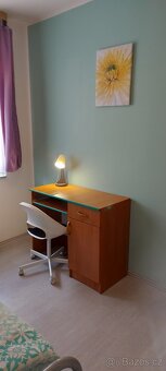 Apartmán Jáchymov Krušné hory - 4