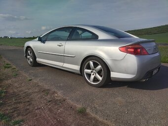 Peugeot 407 coupe - 4