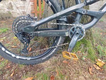 Yt capra - 4
