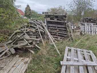palivové dřevo - 4