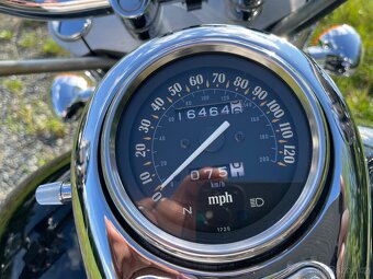 Kawasaki VN800 Classic - 4