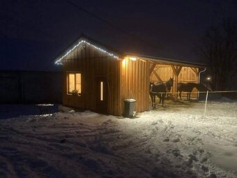 Pastevní ustájení 24/7 - 4