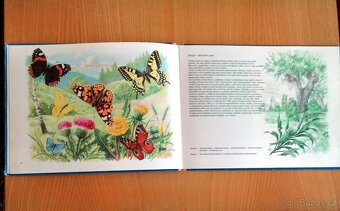 příroda a zvířátka - 4