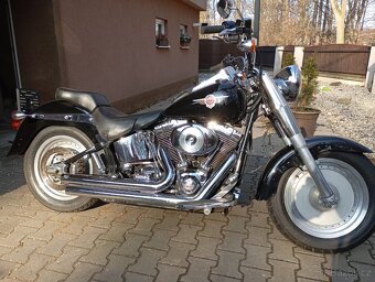 Harley -Davidson Fat Boy - 4