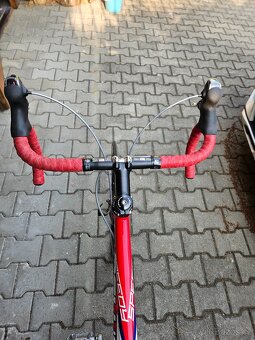 Pells Speedy vel.XL - 4