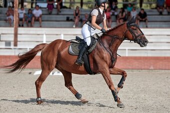 Spolehlivý učitel - 4